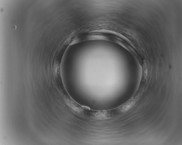 X0000065980574200603061217