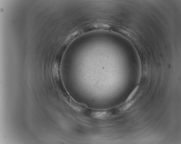 X0000065980575200603061217