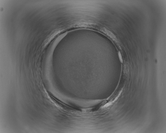 X0000065980577200603061217