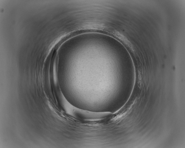 X0000065980580200603061217