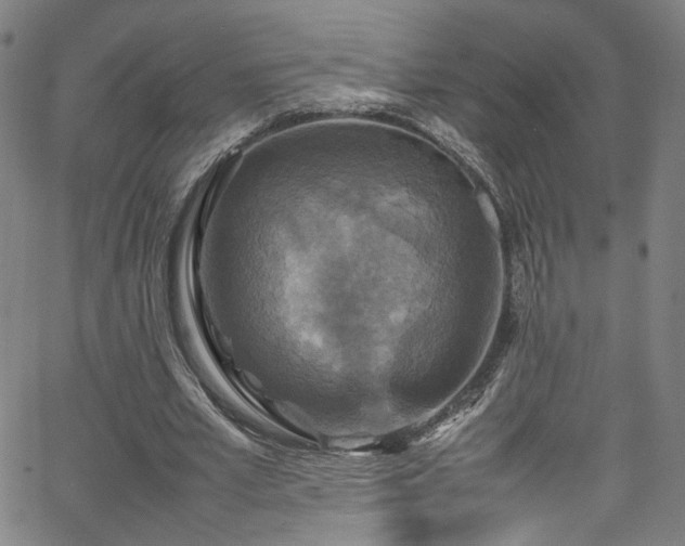 X0000065980581200603061216