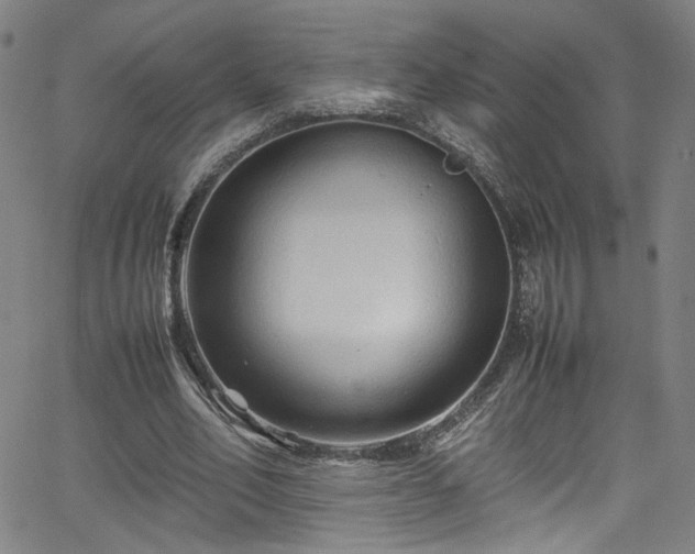 X0000065980582200603061216