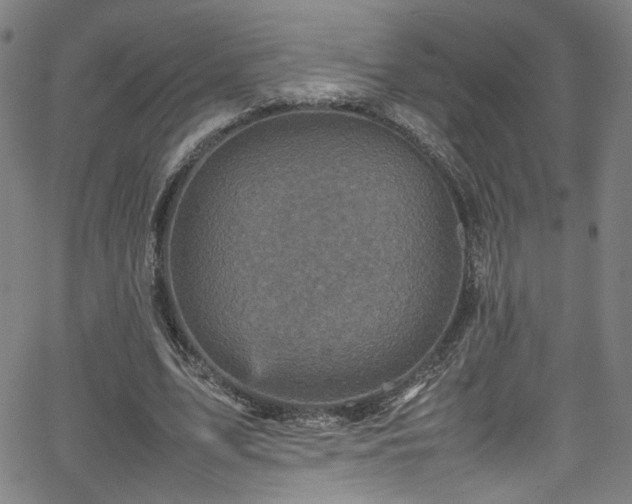 X0000065980583200603061216