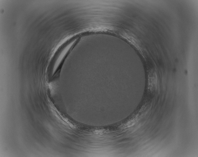 X0000065980584200603061216