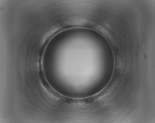 X0000065980586200603061216