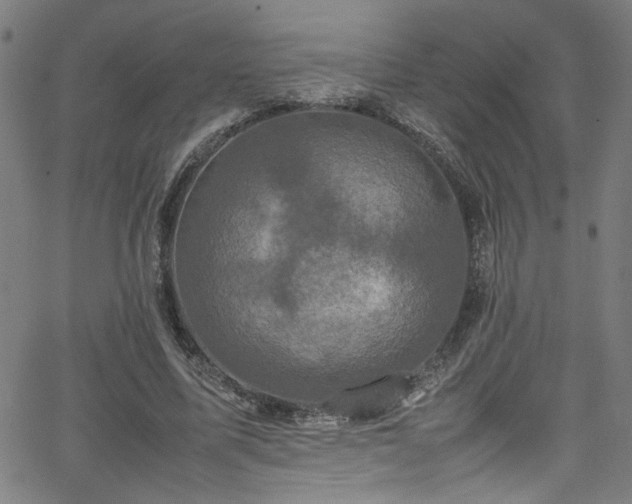 X0000065980587200603061216