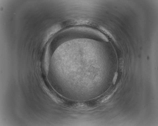 X0000065980589200603061216