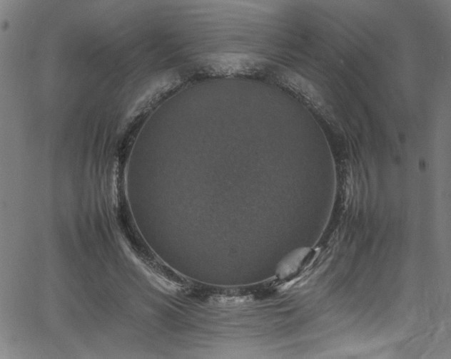 X0000065980590200603061216