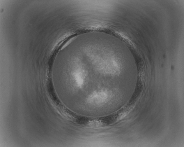 X0000065980591200603061216