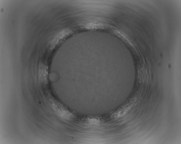 X0000065980592200603061216