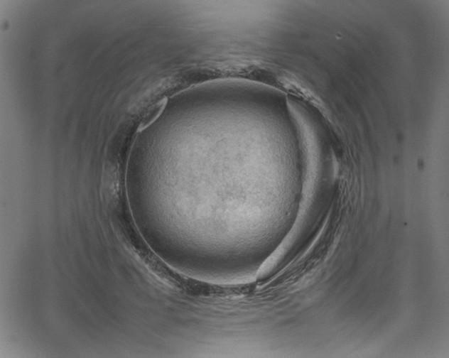 X0000065980593200603061216