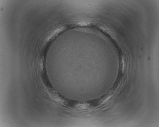 X0000065980595200603061216