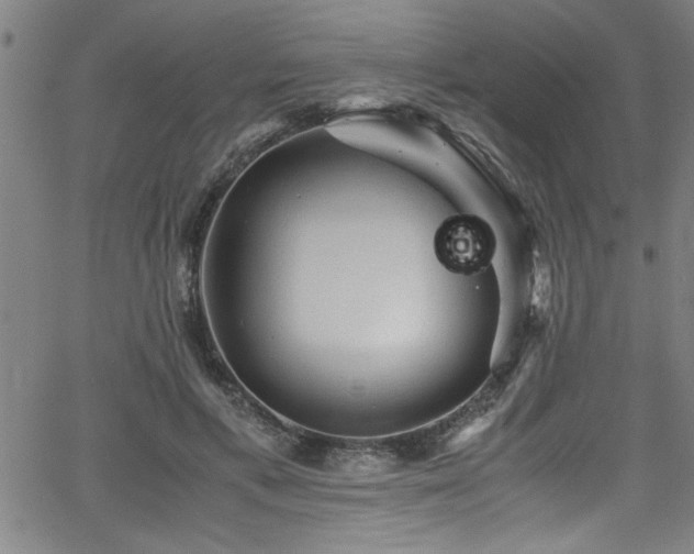 X0000065980597200603061216