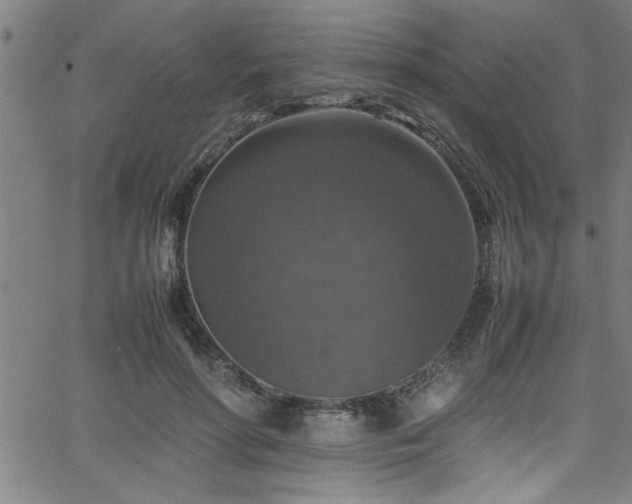 X0000065980598200603061216