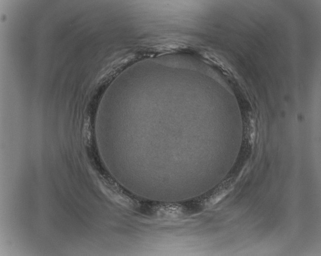 X0000065980599200603061216