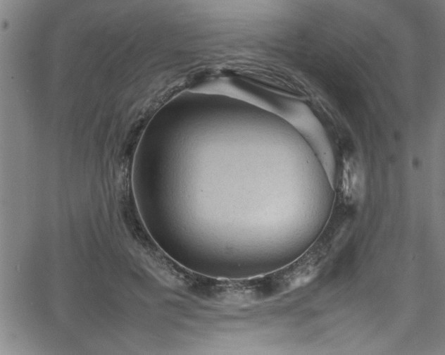 X0000065980601200603061216