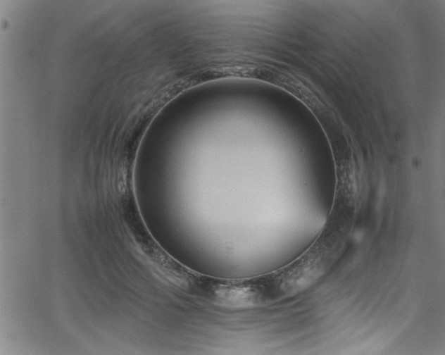 X0000065980602200603061216