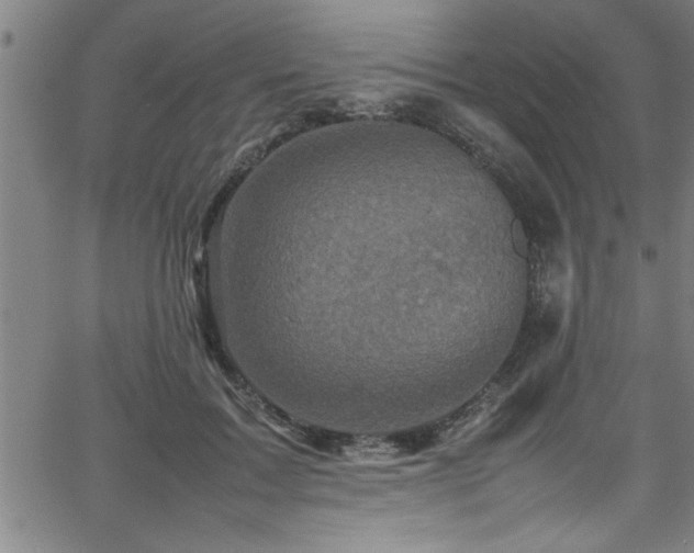 X0000065980603200603061216