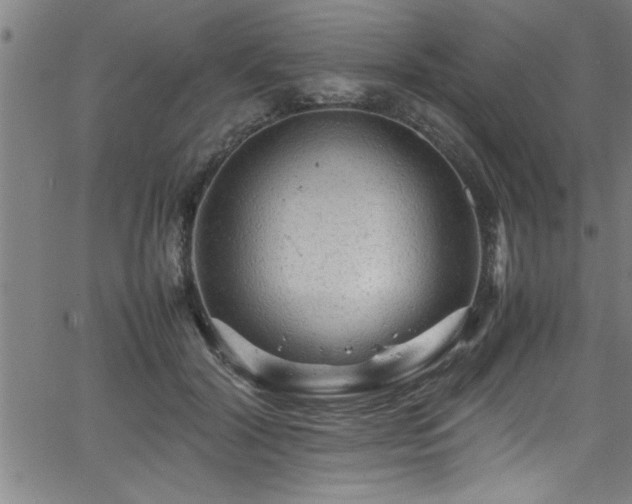 X0000065980604200603061216