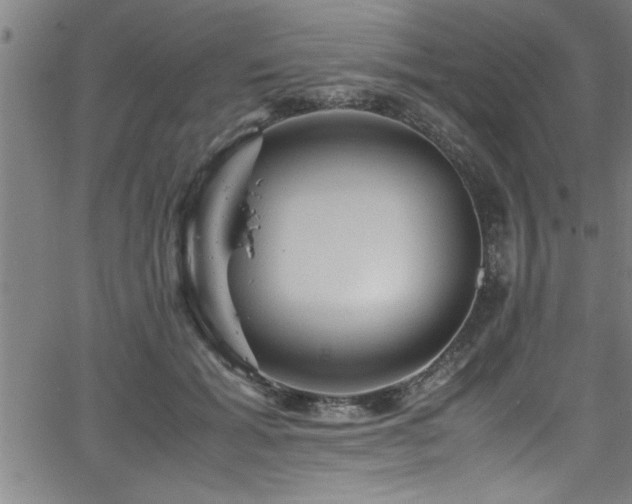 X0000065980605200603061216