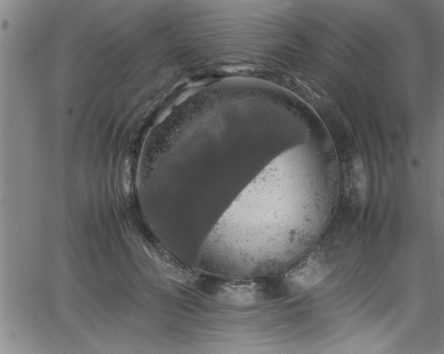 X0000065980606200603061216