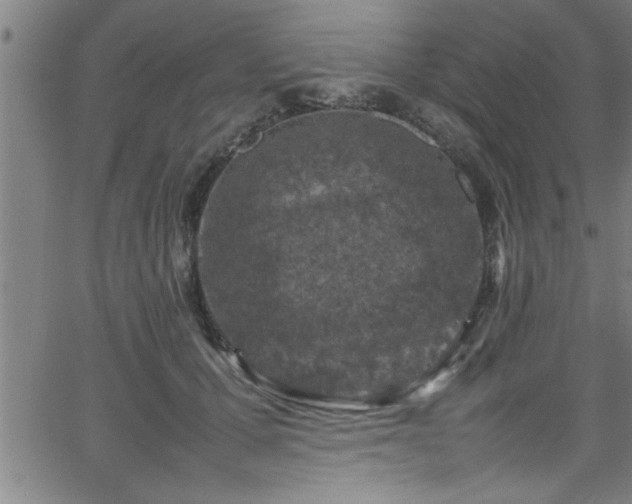 X0000065980607200603061216