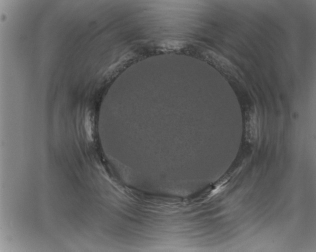 X0000065980608200603061216