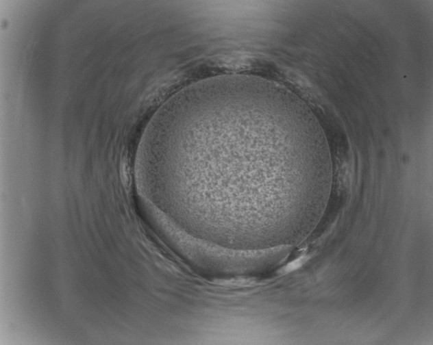 X0000065980609200603061216