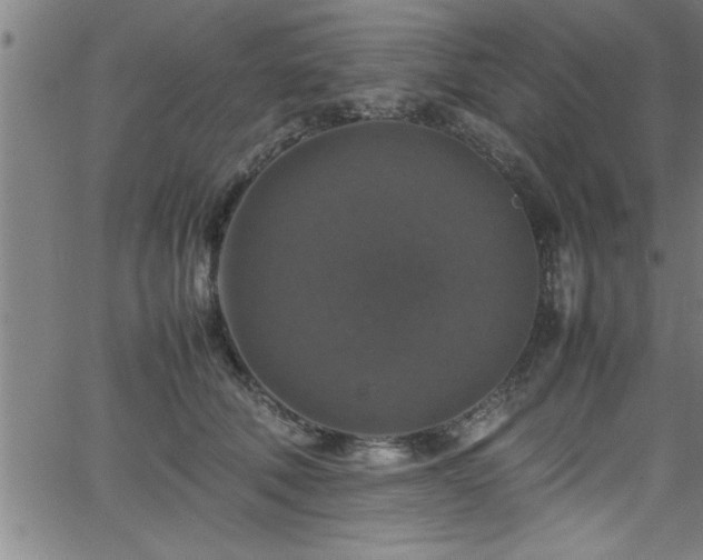 X0000065980610200603061216