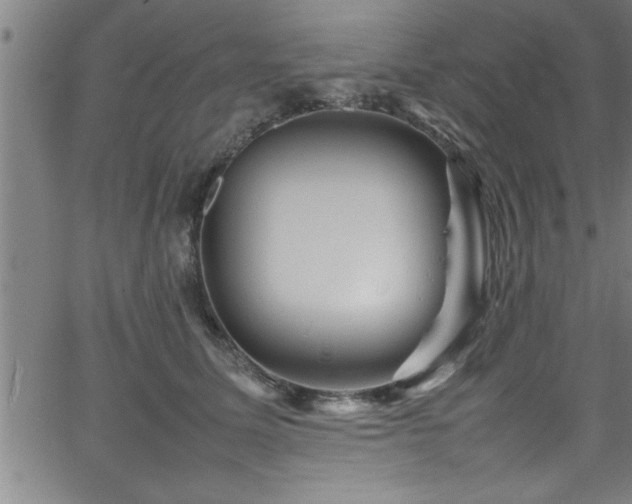 X0000065980611200603061216