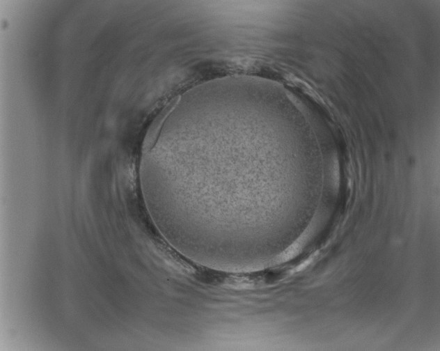 X0000065980613200603061216