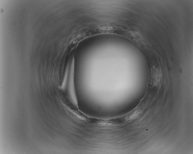 X0000065980614200603061216