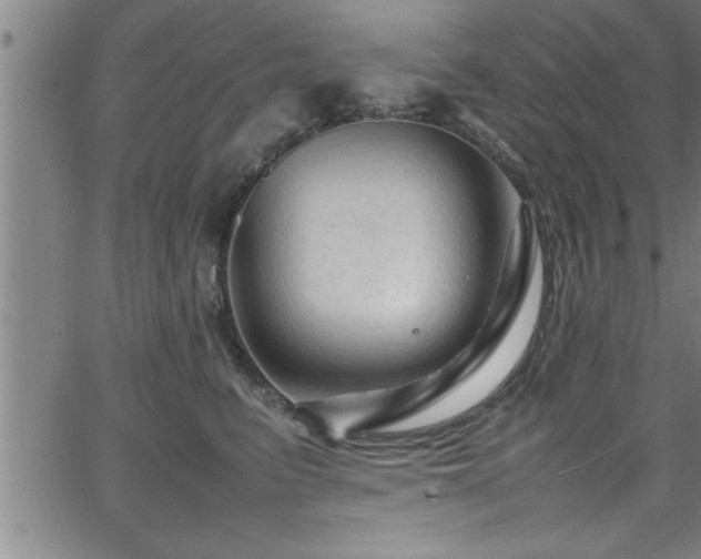 X0000065980615200603061216