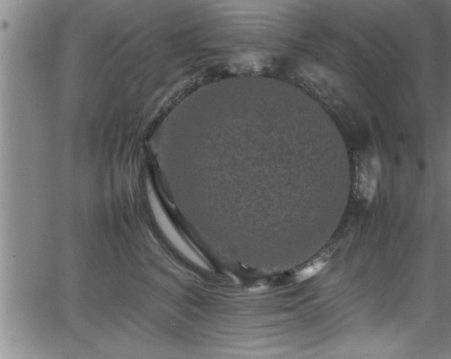 X0000065980616200603061216