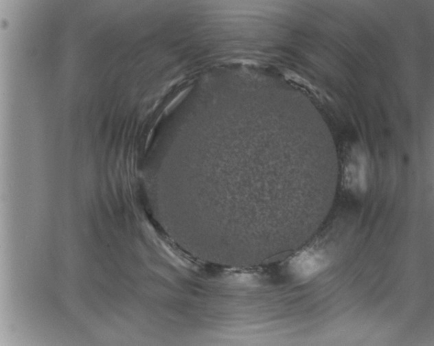 X0000065980620200603061216