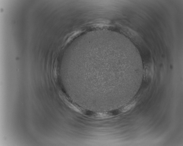 X0000065980623200603061216