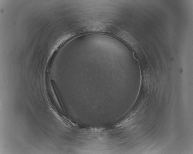 X0000065980626200603061215