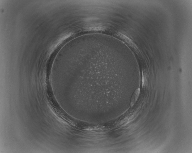 X0000065980627200603061215