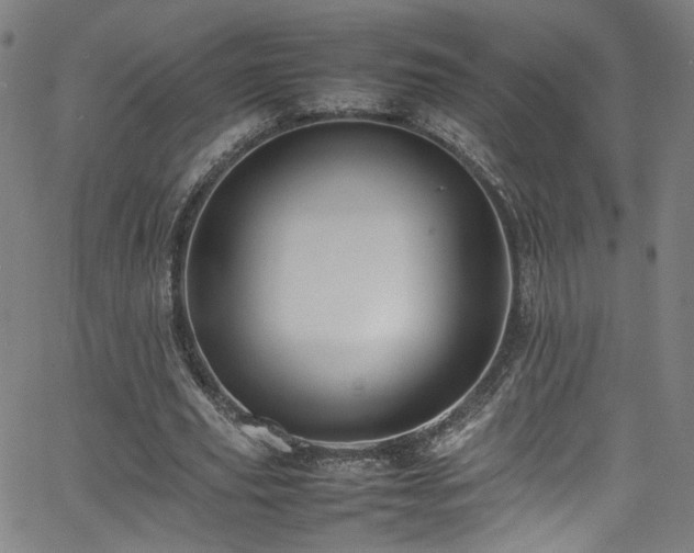 X0000065980629200603061215