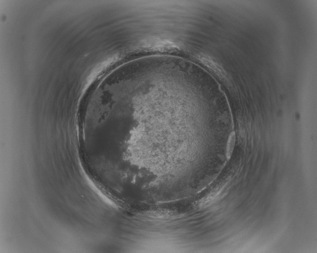 X0000065980630200603061215