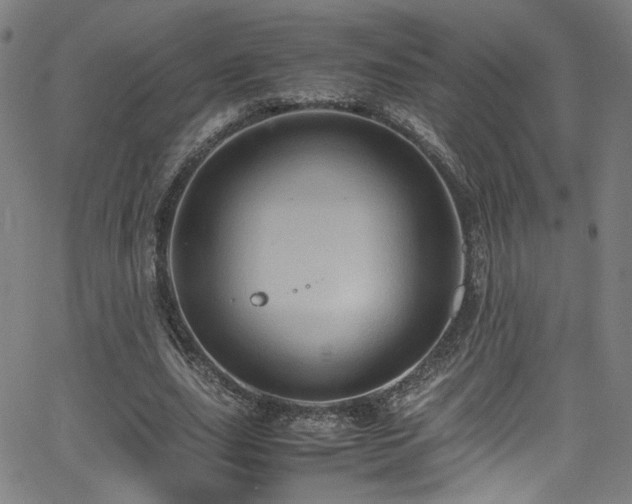 X0000065980631200603061215