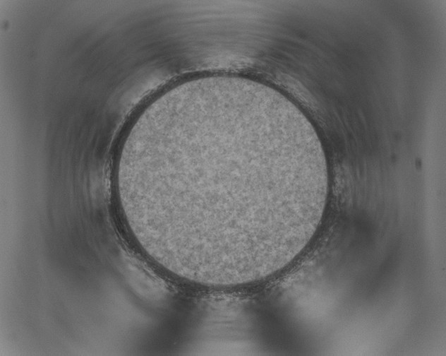 X0000065980632200603061215