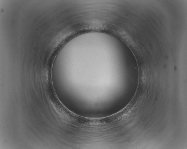 X0000065980636200603061215