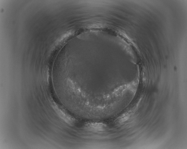 X0000065980637200603061215