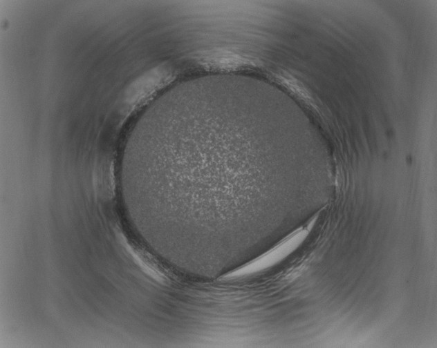 X0000065980638200603061215