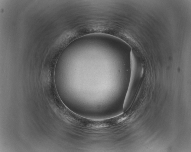 X0000065980639200603061215