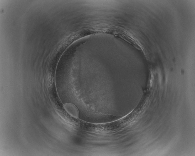 X0000065980641200603061215