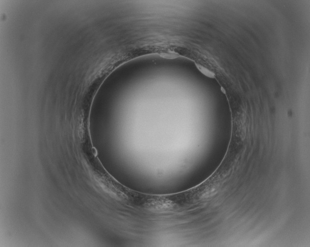 X0000065980642200603061215