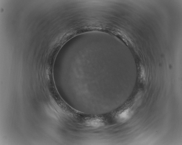 X0000065980643200603061215