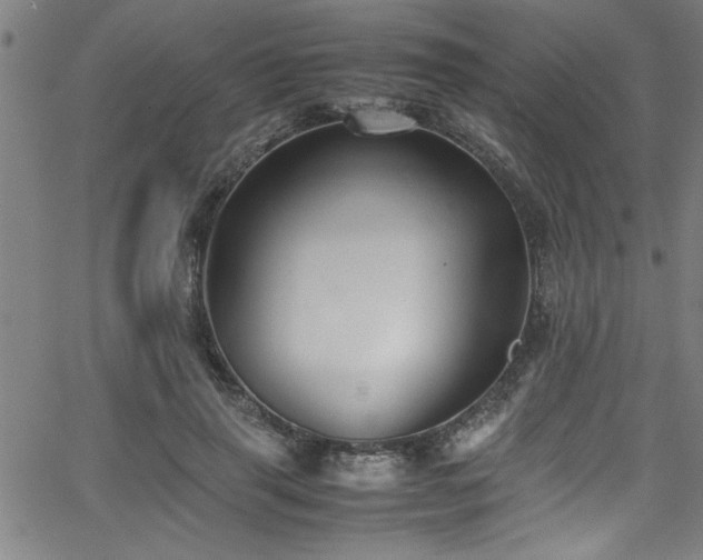 X0000065980645200603061215